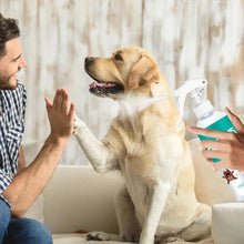 Load image into Gallery viewer, Control Fleas And Tick Pet Skin Care Spray Cats And Dogs Tick Soothe Puppy Kitten External Use Prevention Spray 100ML