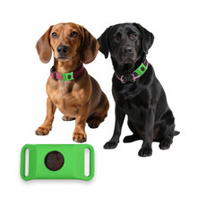 Load image into Gallery viewer, Natural Flea and Tick Pendant - Safe Pest Repellent for Pets