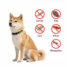 Load image into Gallery viewer, Natural Flea and Tick Pendant - Safe Pest Repellent for Pets