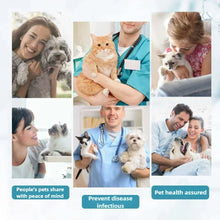 Load image into Gallery viewer, Control Fleas And Tick Pet Skin Care Spray Cats And Dogs Tick Soothe Puppy Kitten External Use Prevention Spray 100ML
