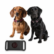 Load image into Gallery viewer, Natural Flea and Tick Pendant - Safe Pest Repellent for Pets