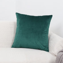 Load image into Gallery viewer, Luxury Velvet  Pillowcase Home Decorative Cushion Cover 45x45cm/50*30cm Kussenhoes Sofa Pillowslip Decorative Housse De Coussin